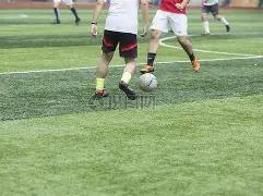 国内多品牌,金饰每克价,格重返,米乐体育平台,米乐体育官方网站,米乐体育登录入口,米乐体育app下载