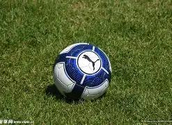 版工业金属,管道施工标,准规范,米乐体育平台,米乐体育官方网站,米乐体育登录入口,米乐体育app下载