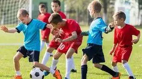 天海俱乐部向足协提交退赛请求，启动后续事务处理程序