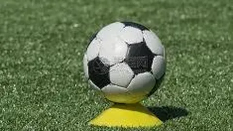 德明利(001309)：提升2025年公司及子公司授信额度与关联担保能力