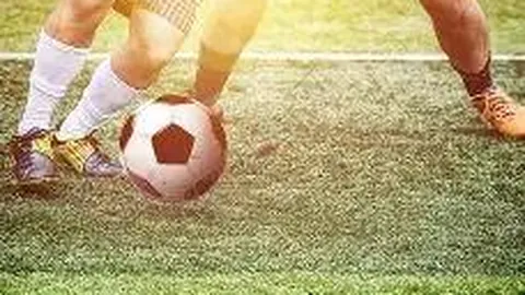 米乐体育 资讯 100207 ytr