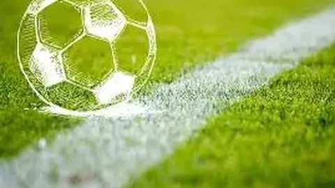 米乐体育 资讯 100710 674