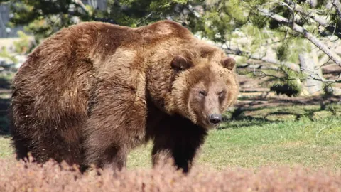 王楚钦加盟北大，奥运金牌乒乓球手攻读体育硕士